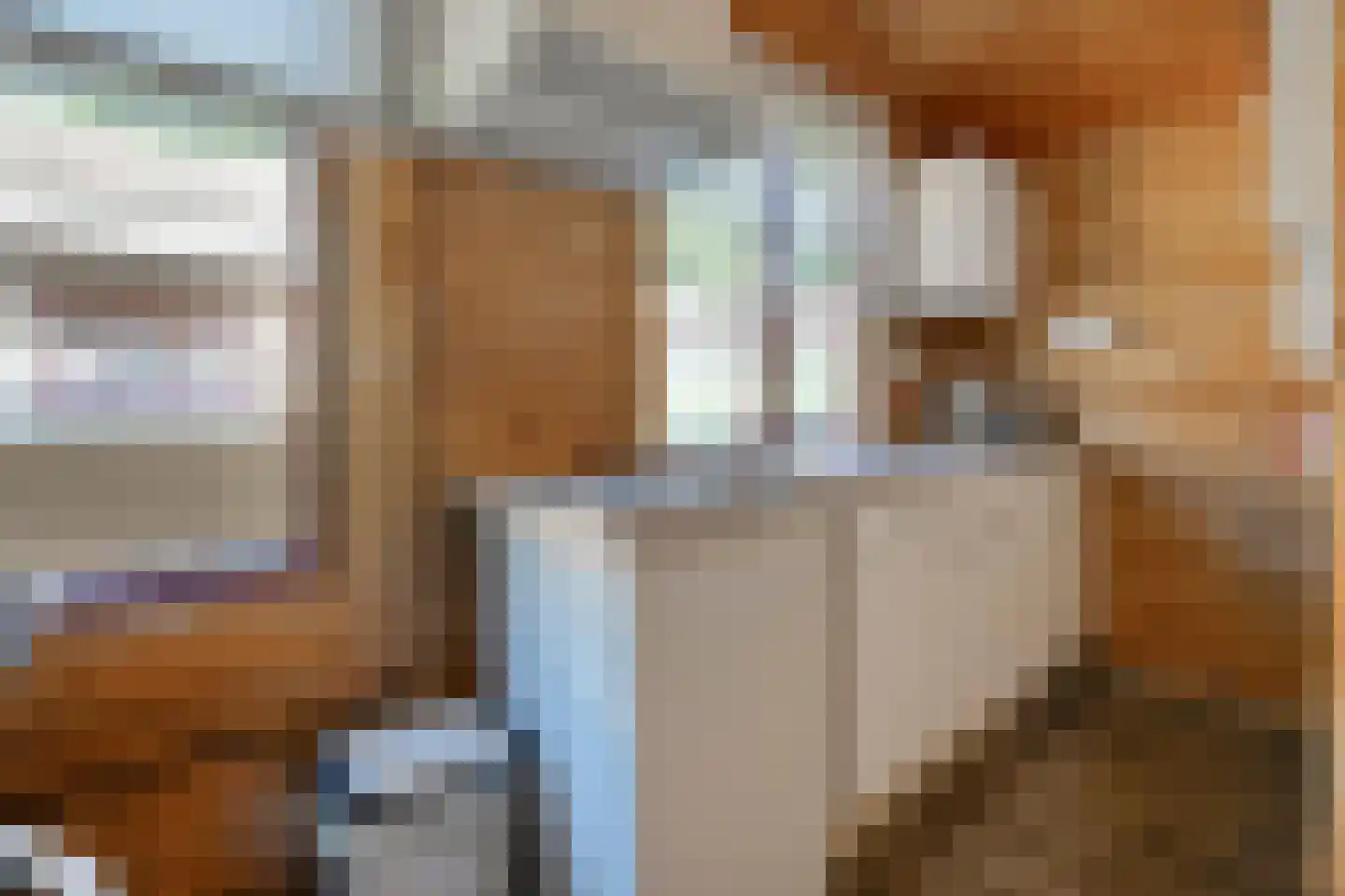 Boslaan 1 R33 Gramsbergen thumbnail 12
