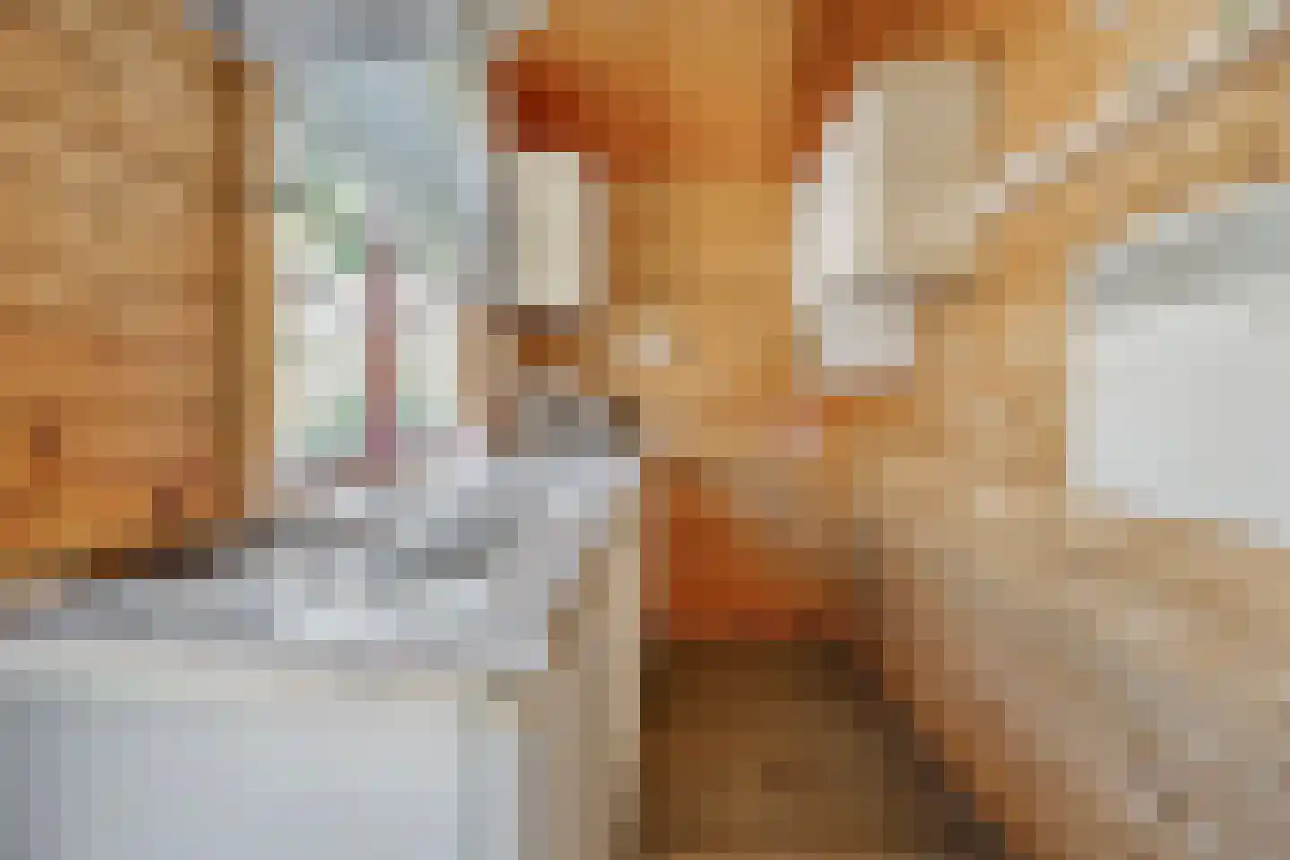 Boslaan 1 R33 Gramsbergen thumbnail 13