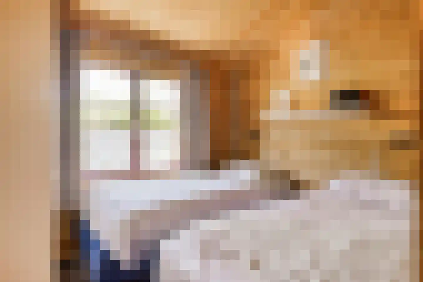 Boslaan 1 R33 Gramsbergen thumbnail 14
