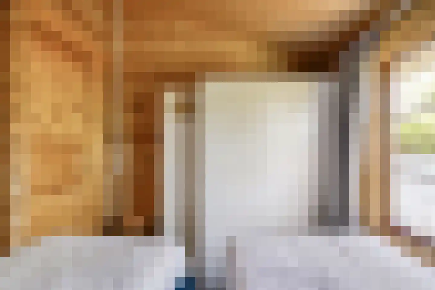 Boslaan 1 R33 Gramsbergen thumbnail 15