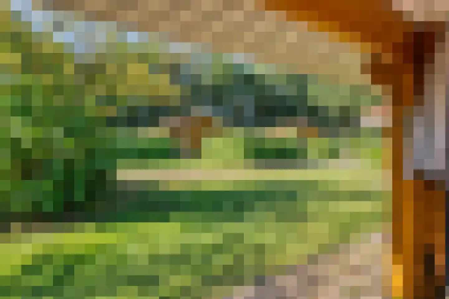 Boslaan 1 R33 Gramsbergen thumbnail 19