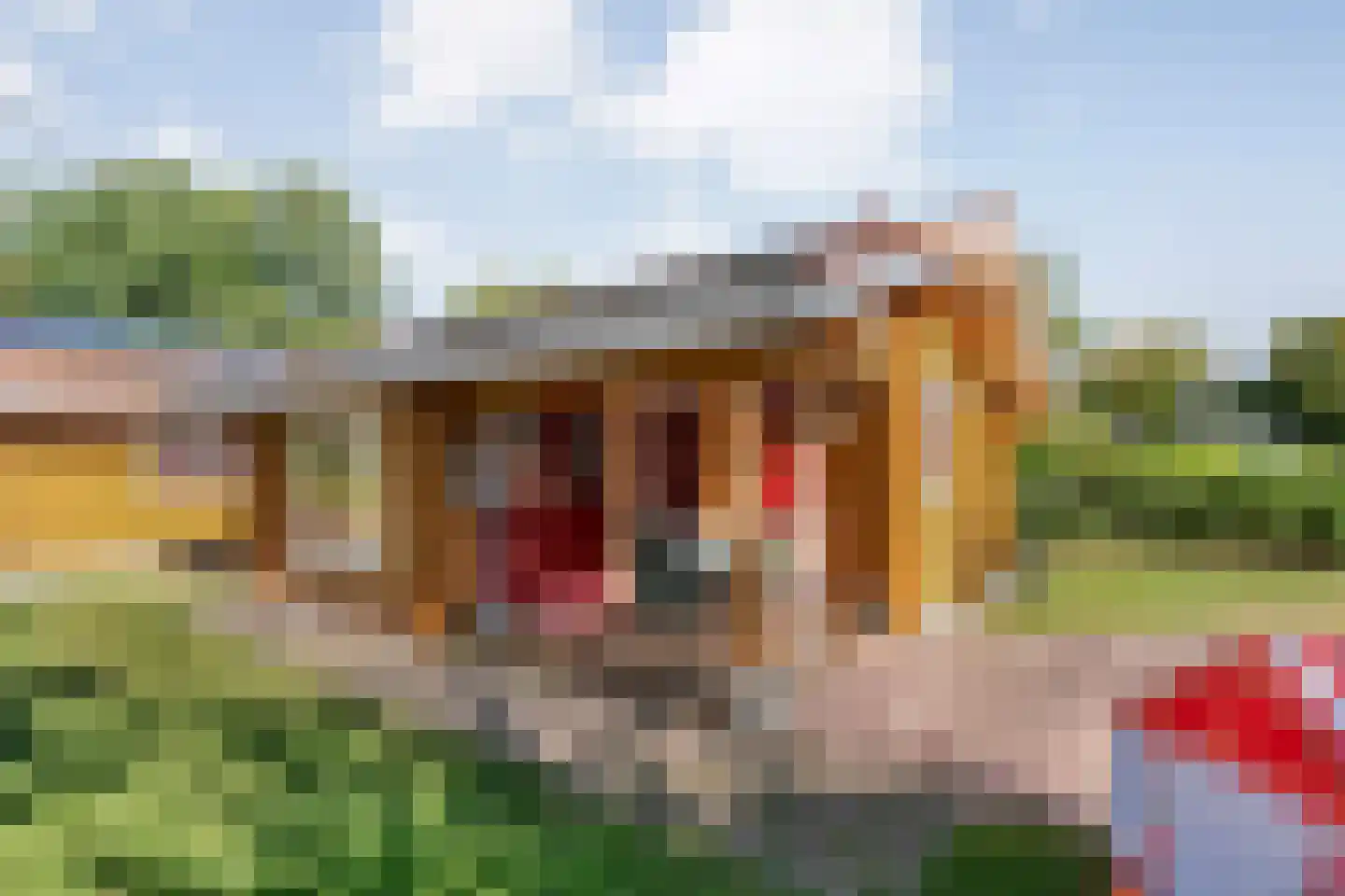 Boslaan 1 R33 Gramsbergen thumbnail 4