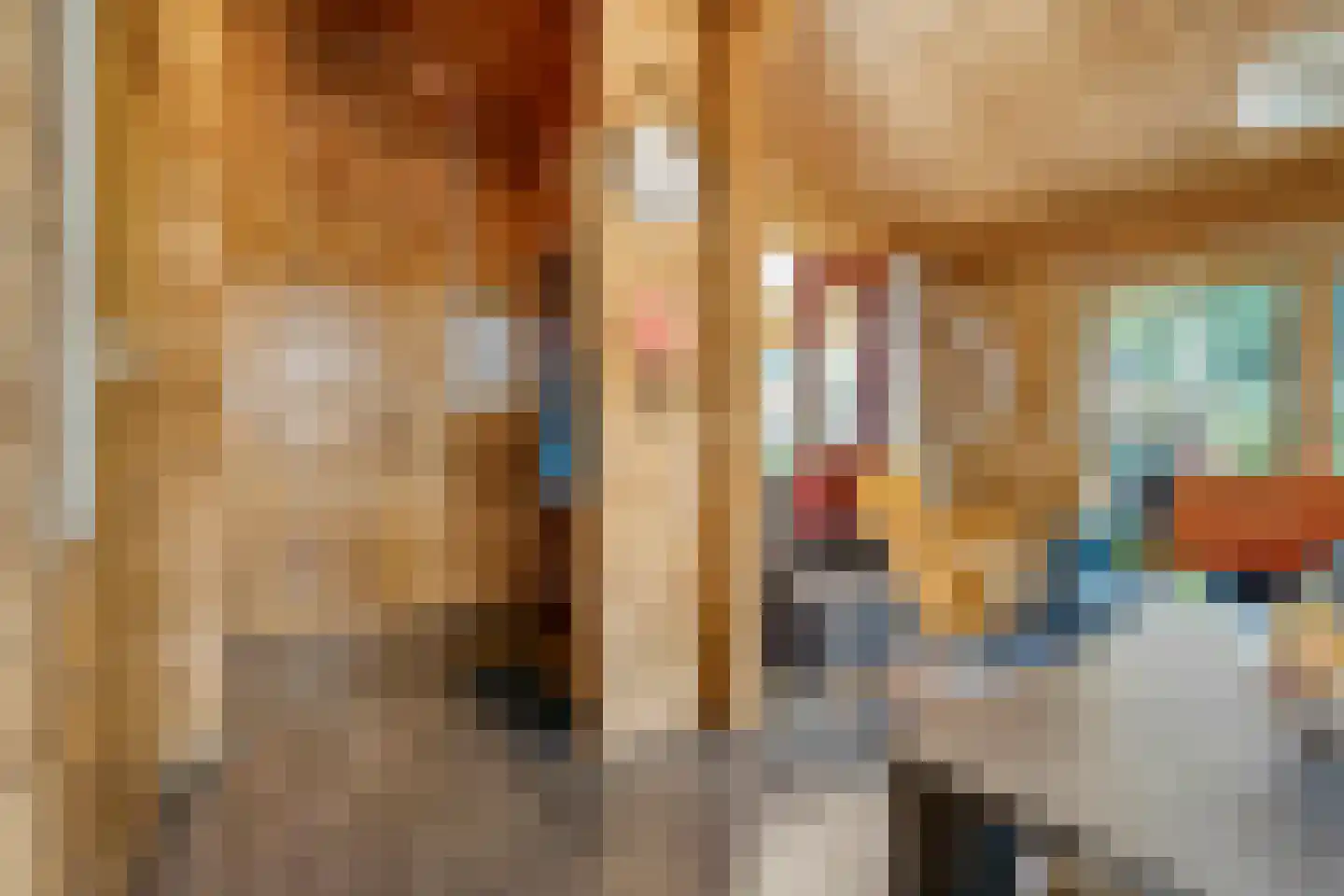 Boslaan 1 R33 Gramsbergen thumbnail 6
