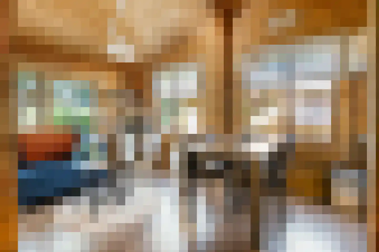 Boslaan 1 R33 Gramsbergen thumbnail 7
