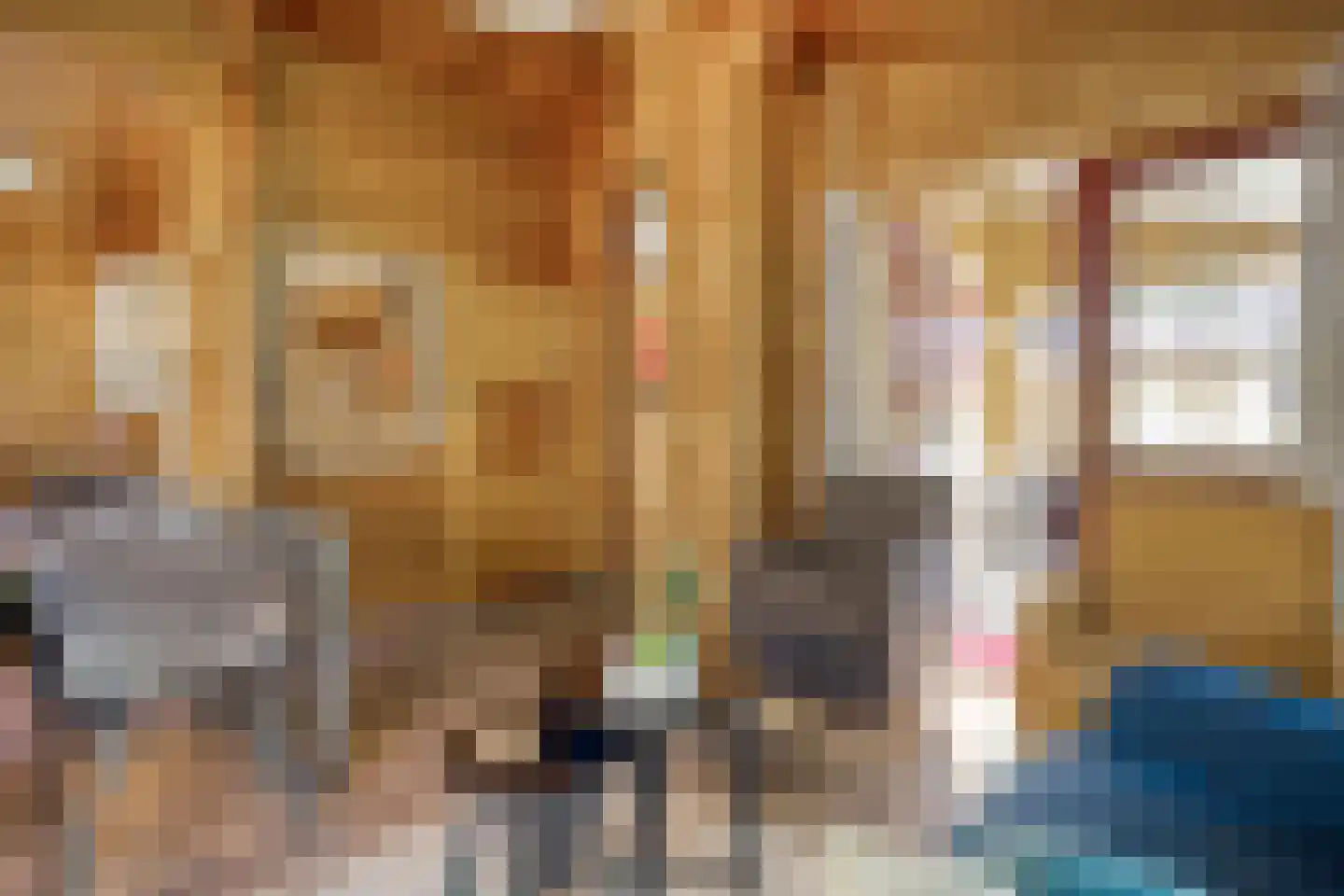 Boslaan 1 R33 Gramsbergen thumbnail 9