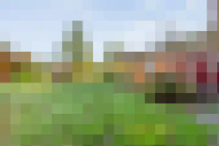Boslaan 1 R43 Gramsbergen thumbnail 10