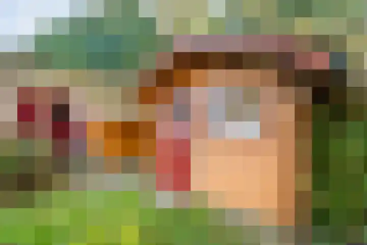 Boslaan 1 R43 Gramsbergen thumbnail 11