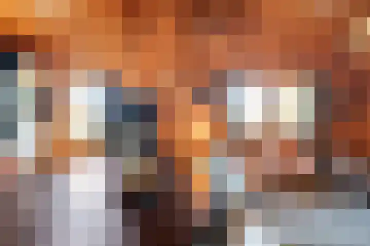 Boslaan 1 R43 Gramsbergen thumbnail 13