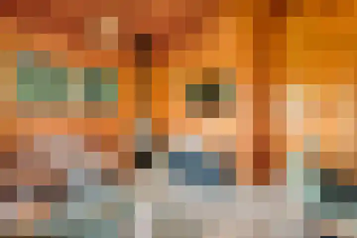 Boslaan 1 R43 Gramsbergen thumbnail 14