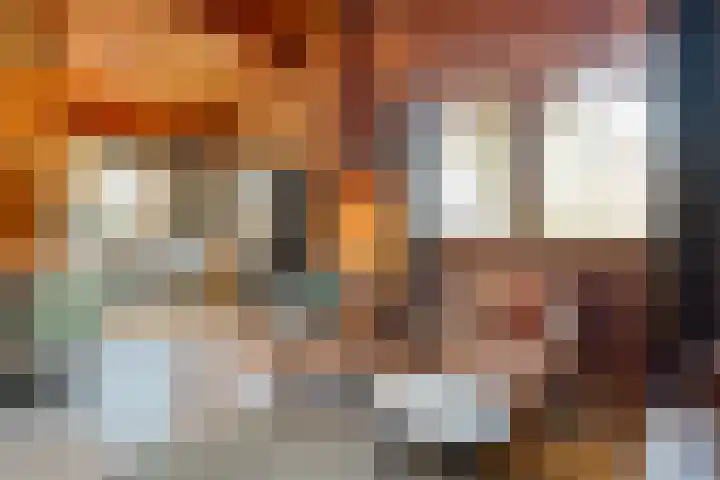 Boslaan 1 R43 Gramsbergen thumbnail 16