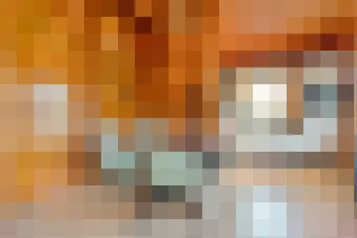 Boslaan 1 R43 Gramsbergen thumbnail 17