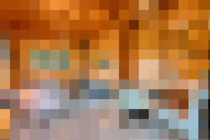 Boslaan 1 R43 Gramsbergen thumbnail 18