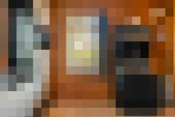 Boslaan 1 R43 Gramsbergen thumbnail 21