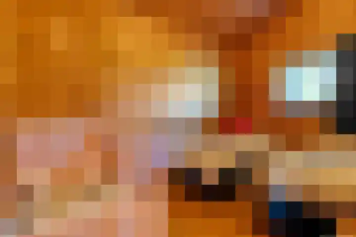 Boslaan 1 R43 Gramsbergen thumbnail 28