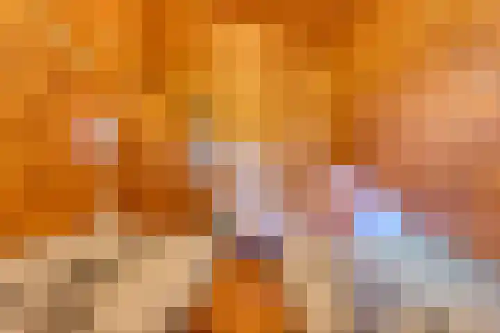 Boslaan 1 R43 Gramsbergen thumbnail 29