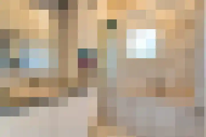 Boslaan 1 R43 Gramsbergen thumbnail 32