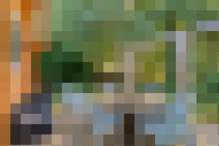 Boslaan 1 R43 Gramsbergen thumbnail 34