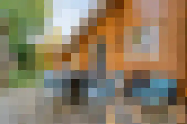 Boslaan 1 R43 Gramsbergen thumbnail 35