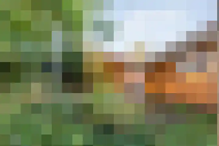 Boslaan 1 R43 Gramsbergen thumbnail 37