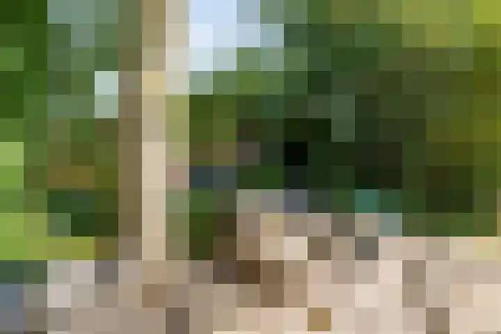 Boslaan 1 R43 Gramsbergen thumbnail 38