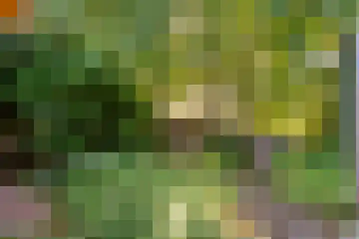 Boslaan 1 R43 Gramsbergen thumbnail 39