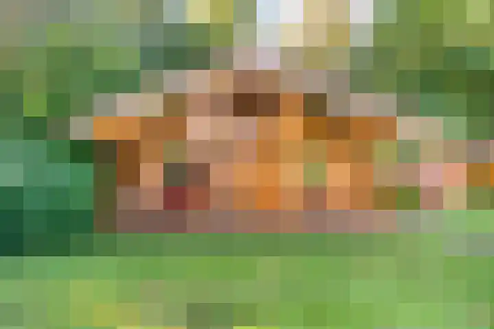 Boslaan 1 R43 Gramsbergen thumbnail 4