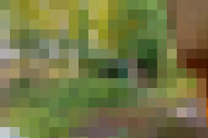 Boslaan 1 R43 Gramsbergen thumbnail 40