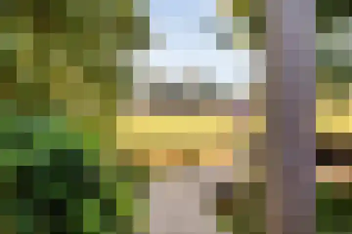 Boslaan 1 R43 Gramsbergen thumbnail 41