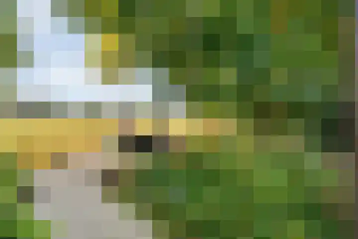 Boslaan 1 R43 Gramsbergen thumbnail 42