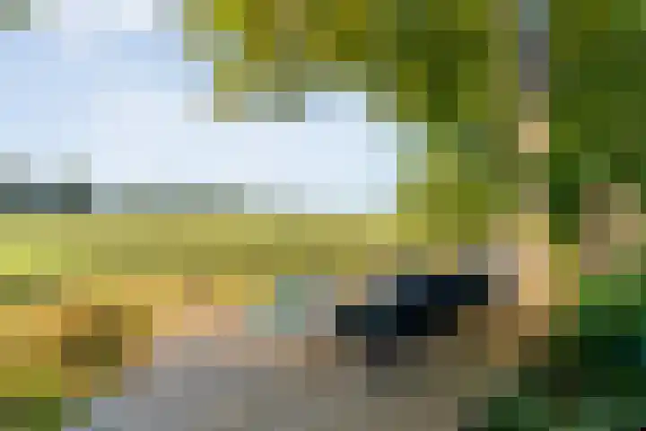 Boslaan 1 R43 Gramsbergen thumbnail 43