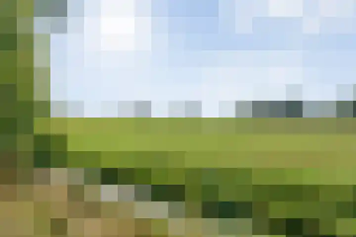 Boslaan 1 R43 Gramsbergen thumbnail 44