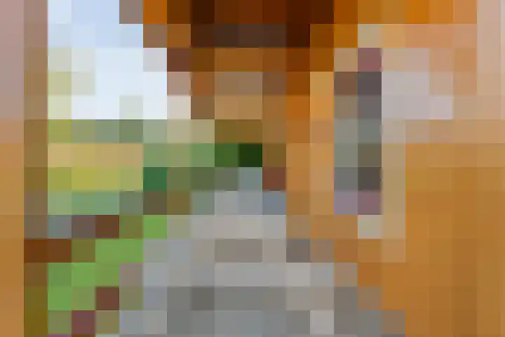 Boslaan 1 R43 Gramsbergen thumbnail 5