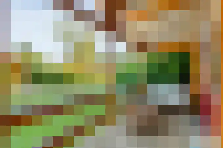 Boslaan 1 R43 Gramsbergen thumbnail 6