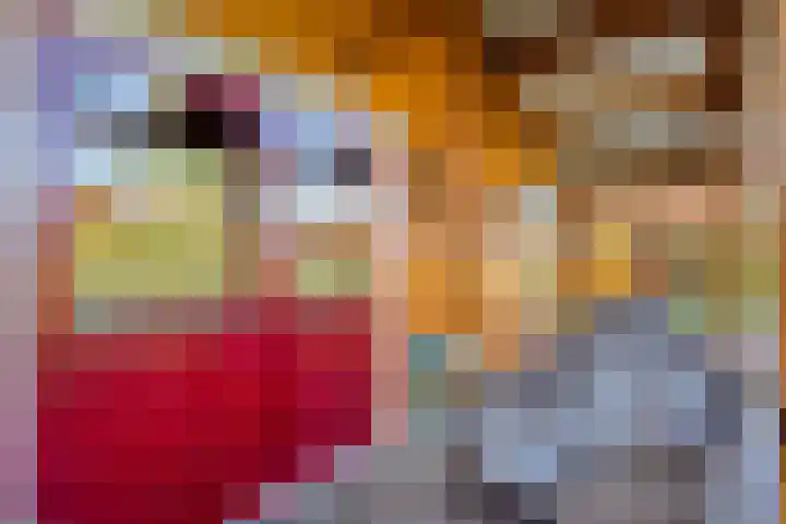 Boslaan 1 R43 Gramsbergen thumbnail 7