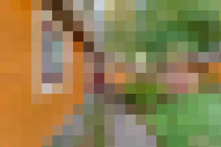Boslaan 1 R43 Gramsbergen thumbnail 8