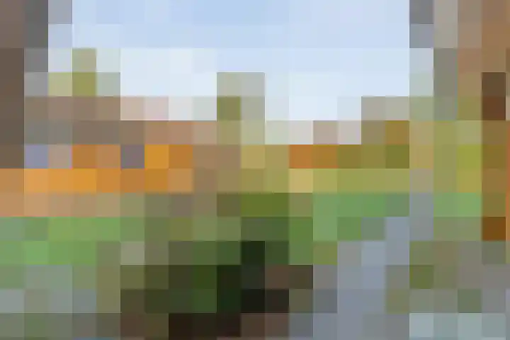Boslaan 1 R43 Gramsbergen thumbnail 9