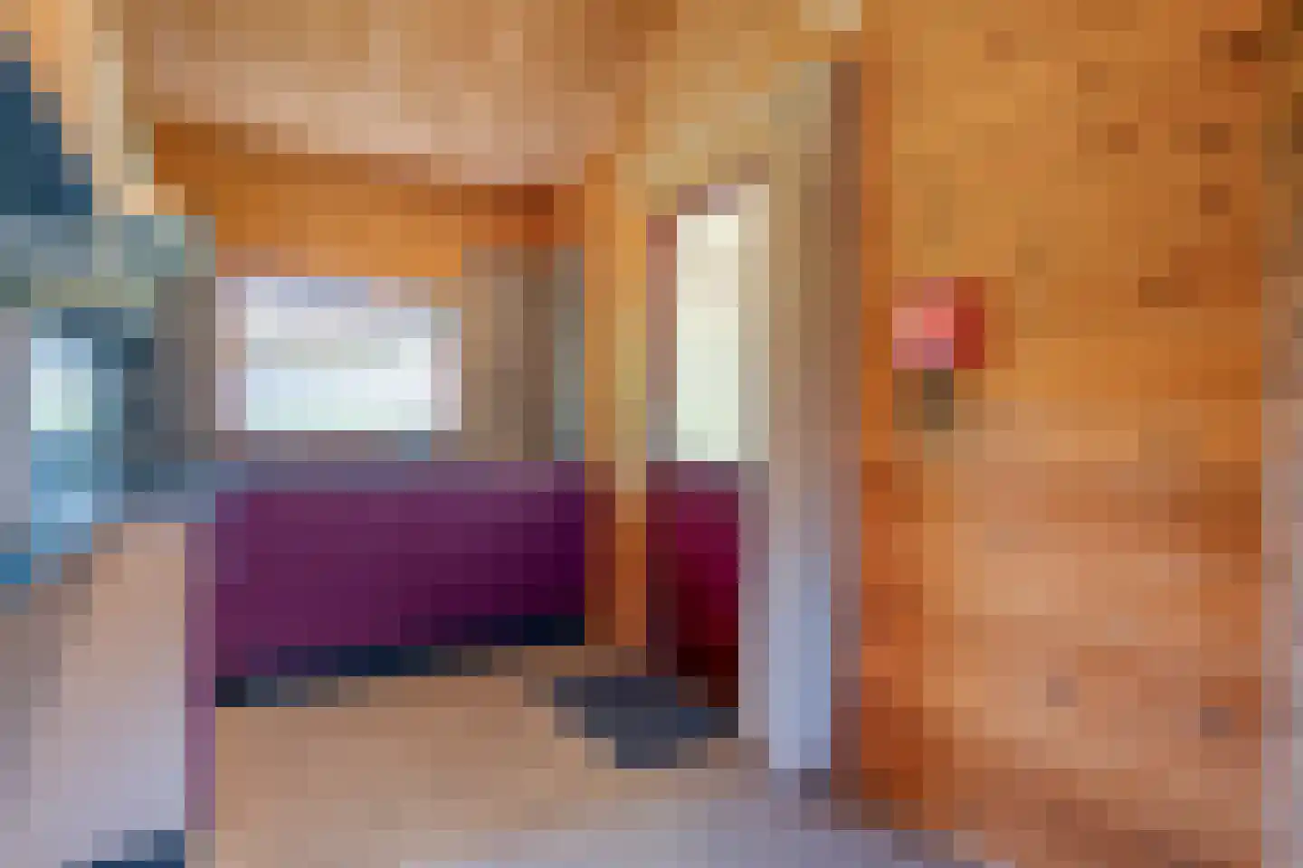 Boslaan 1 R44 Gramsbergen thumbnail 8