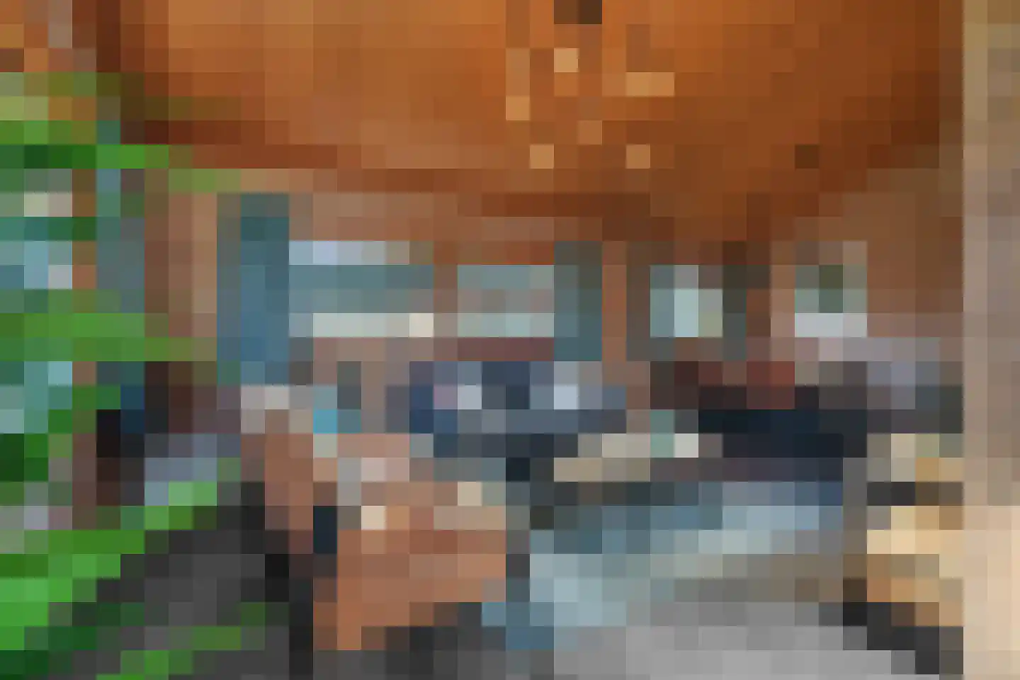 Boslaan 1 R58 Gramsbergen thumbnail 10