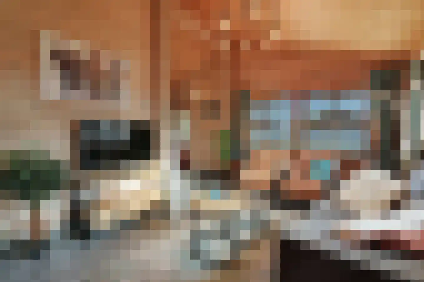 Boslaan 1 R58 Gramsbergen thumbnail 11