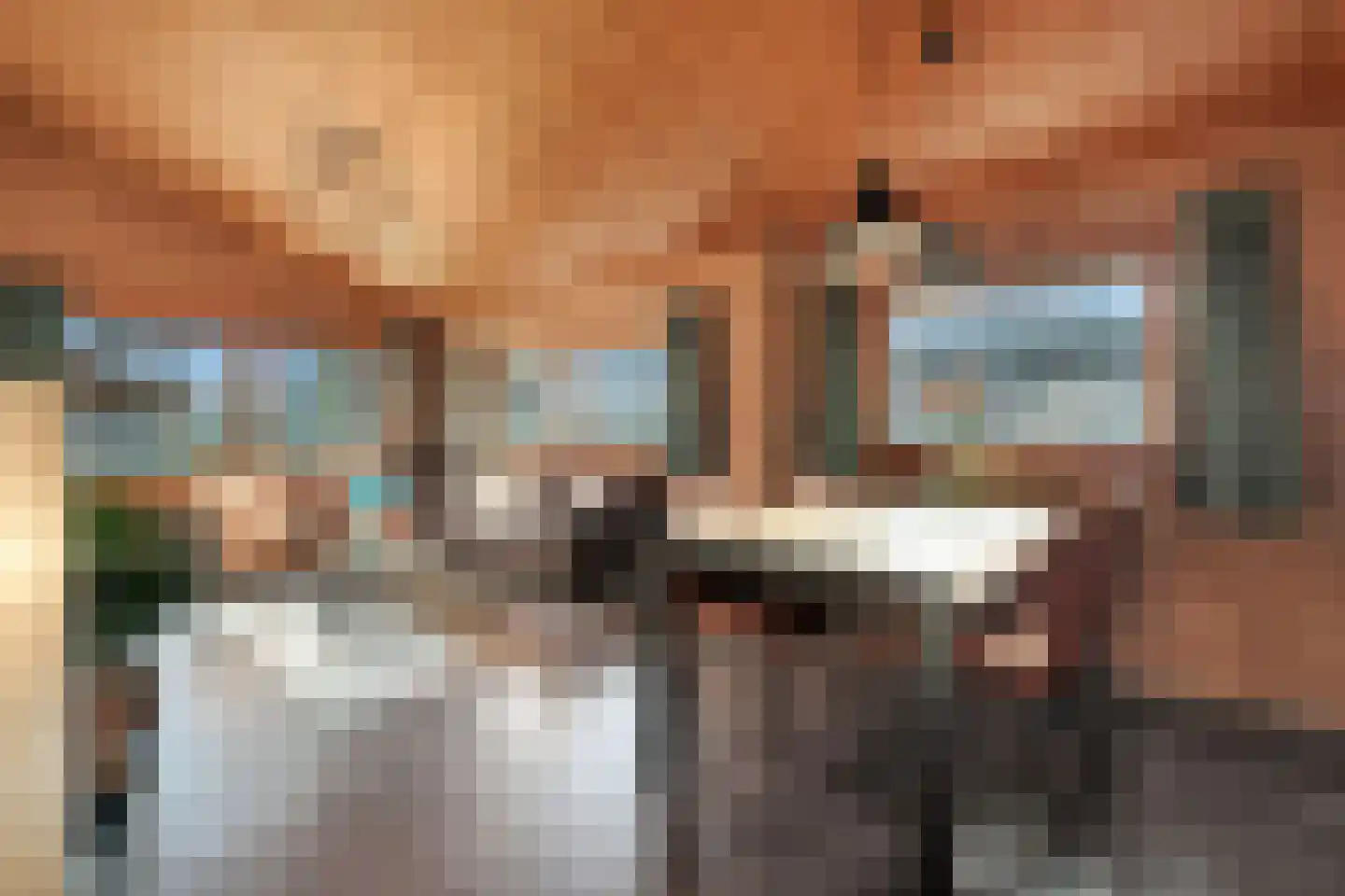 Boslaan 1 R58 Gramsbergen thumbnail 12