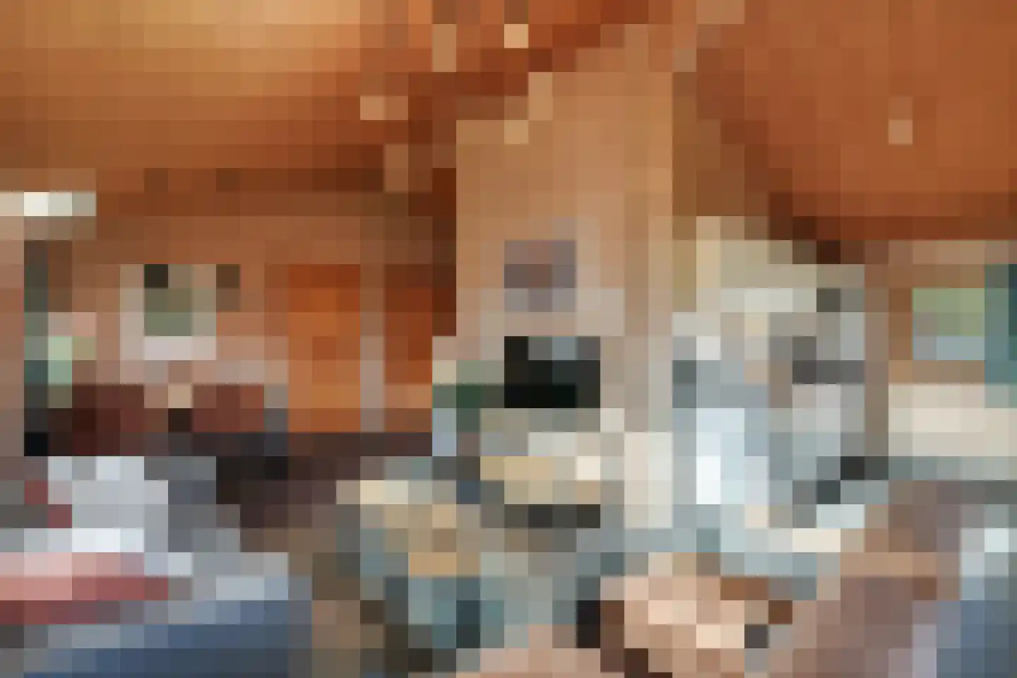 Boslaan 1 R58 Gramsbergen thumbnail 14