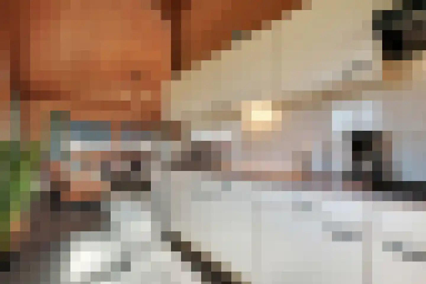 Boslaan 1 R58 Gramsbergen thumbnail 17