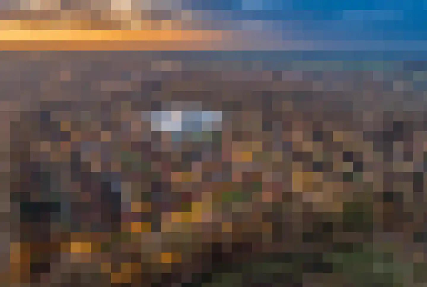 Boslaan 1 R58 Gramsbergen thumbnail 28