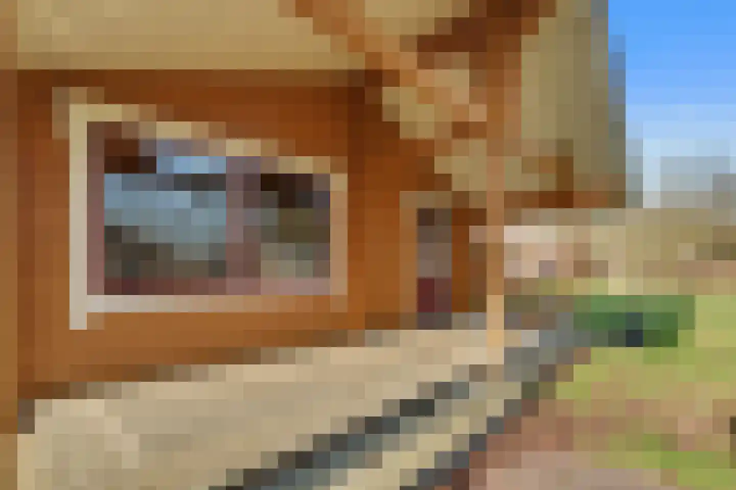Boslaan 1 R58 Gramsbergen thumbnail 8