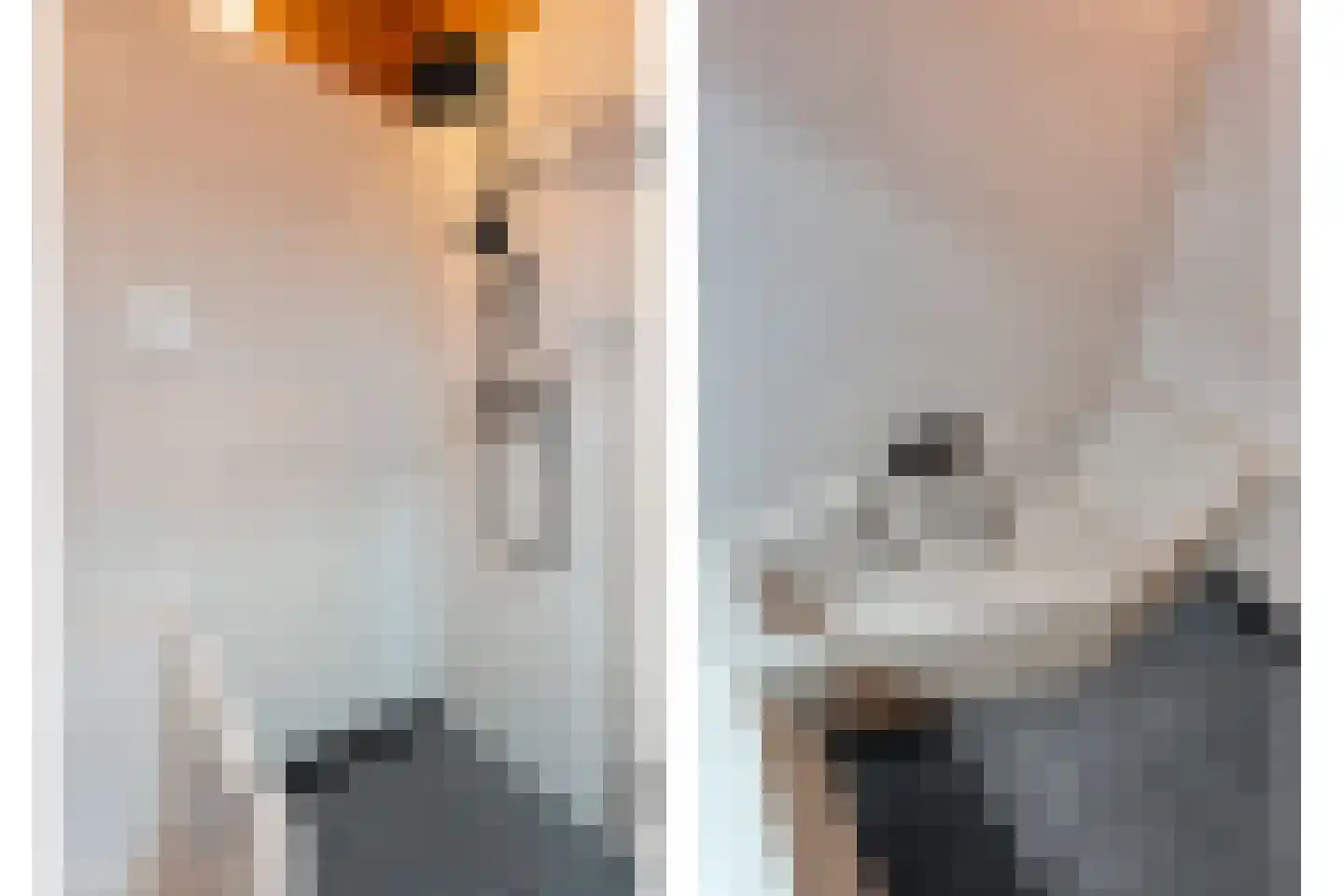 Boslaan 1 R66 Gramsbergen thumbnail 10