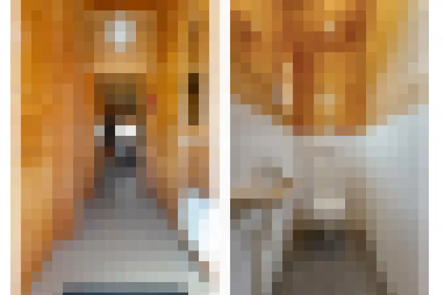 Boslaan 1 R66 Gramsbergen thumbnail 11