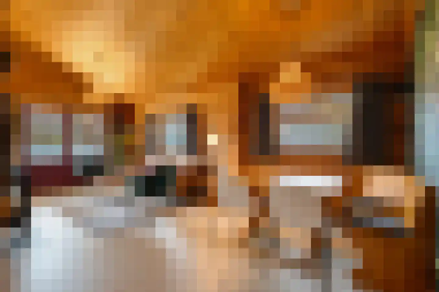 Boslaan 1 R66 Gramsbergen thumbnail 12