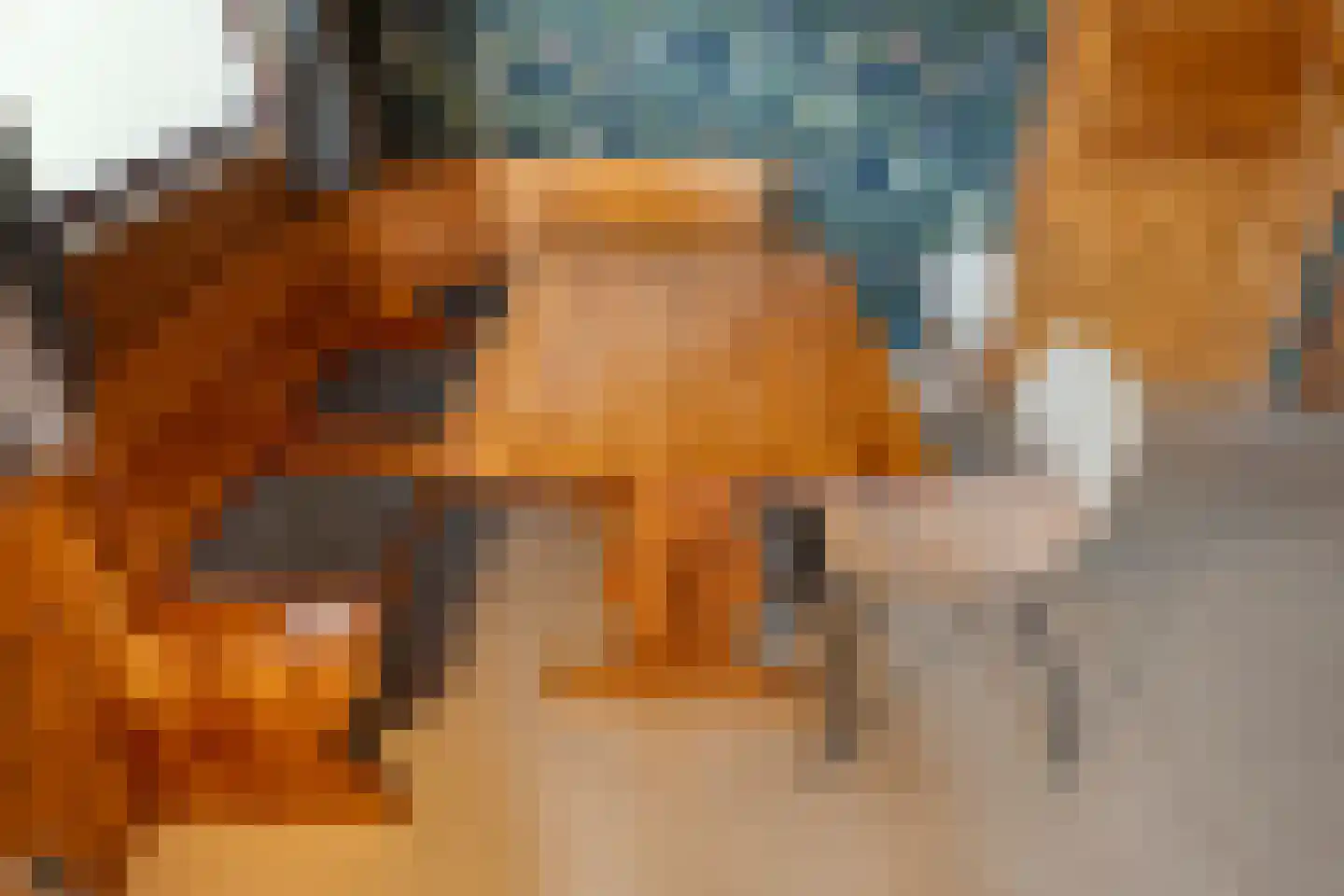 Boslaan 1 R66 Gramsbergen thumbnail 13