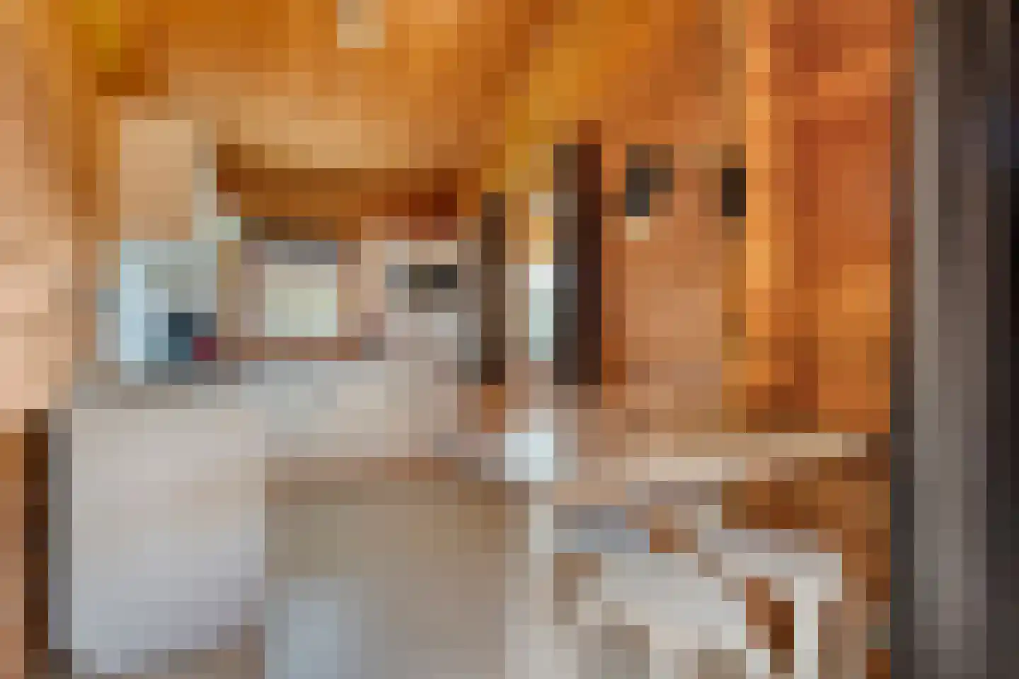 Boslaan 1 R66 Gramsbergen thumbnail 16