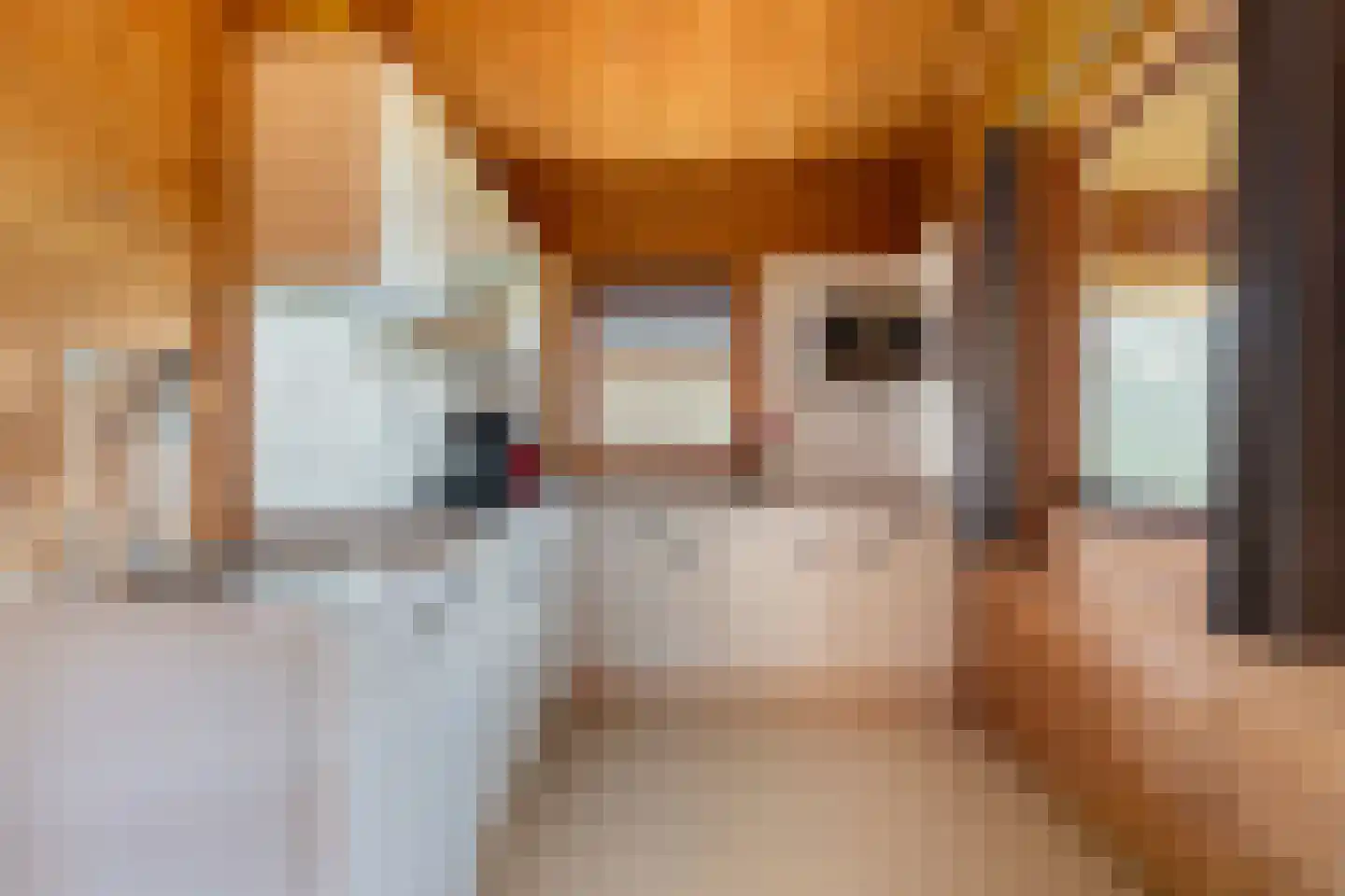 Boslaan 1 R66 Gramsbergen thumbnail 17